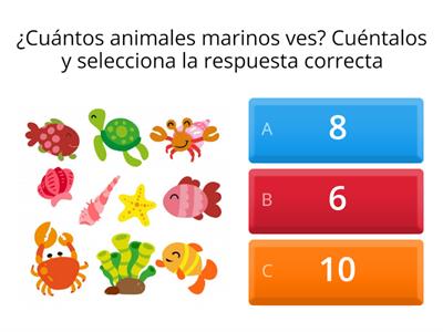 Conteo animales marinos