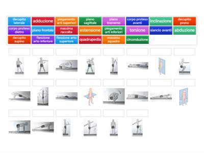 quiz su piani, posizioni e movimenti fondamentali