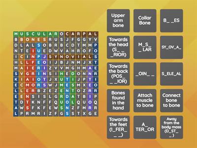 PDHPE CORE 2 YR11 - Wordsearch