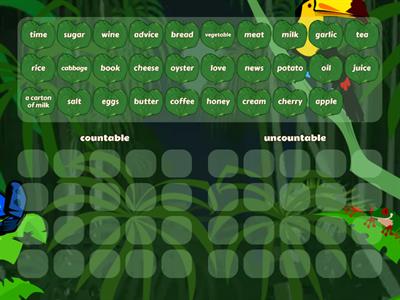 countable-uncountable nouns