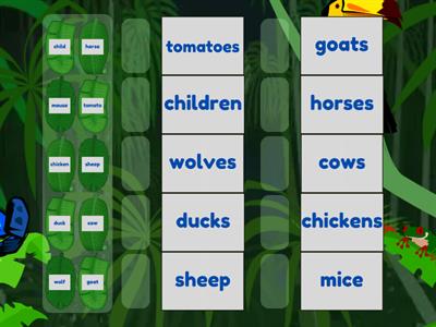 YEAR 3 - Singular and plural nouns