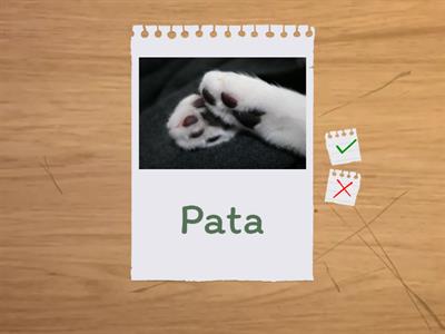 Unit 1 animals inverted