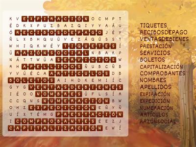 TEMA #15: FACTURA: DOCUMENTOS EQUIVALENTES Y REQUISITOS