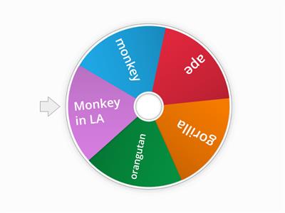 Monkey wheel