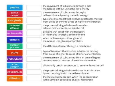 CELL TRANSPORT