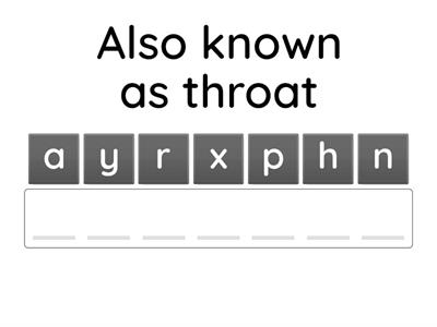 PARTS OF THE DIGESTIVE SYSTEM