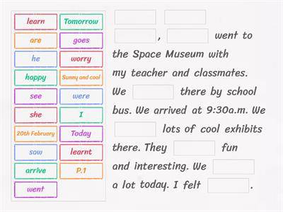 P3 Life-wide Cross Curricular Activity - A diary entry