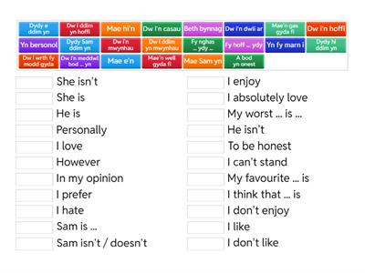 GCSE - Opinions & 3rd person