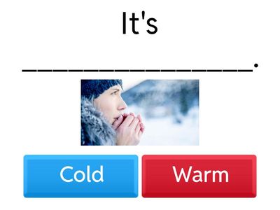 Grade 4 Vocabulary Check-  ILSS 4- unit 3 -lesson 4.1