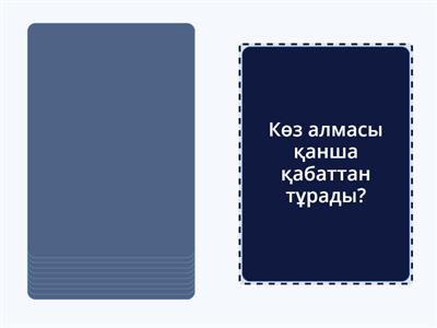 Ең ұзын секс Гиннес рекордтар кітабы