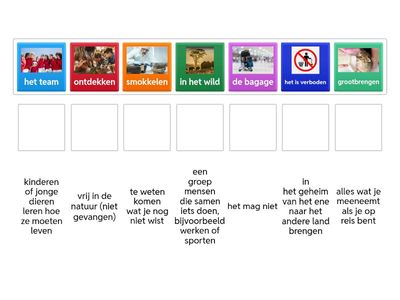 Verbinden NB AA - 42 papegaaiduikers woordenschat #Meester Max