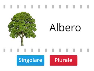 COM`E`  Singolare o plurale?