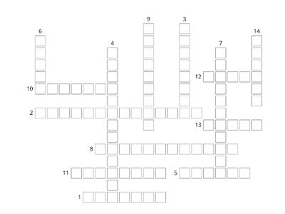 Final Review Crossword