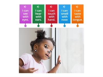 5 senses - 5 zmyslov človek