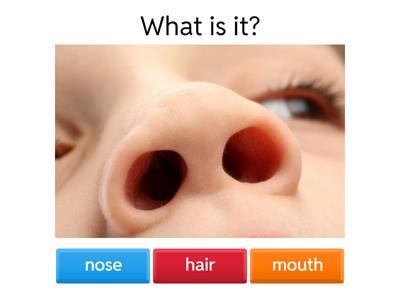 face parts quiz