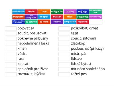 Friendship in films, bloggers 2D, 8th grade