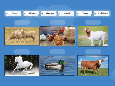 Farm animals 1 клас (Beehive starter)  