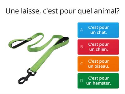 Les animaux de compagnie