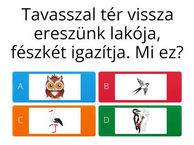 Találós kérdések madarakkal - ovisoknak