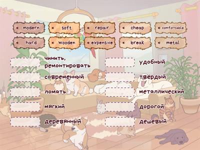 2 - Unit 6 Main VOC The best bed!