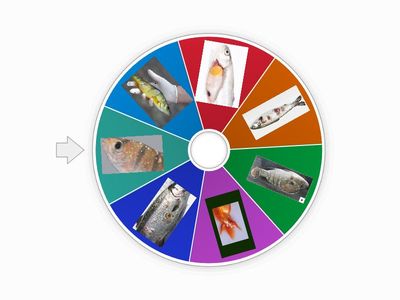  RULETA DE IMAGENES mmmmmmmm