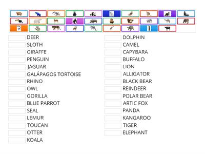 ZOO ANIMALS MATCH UP