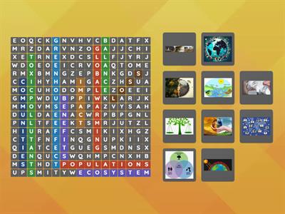 Wordsearch Ecosystems