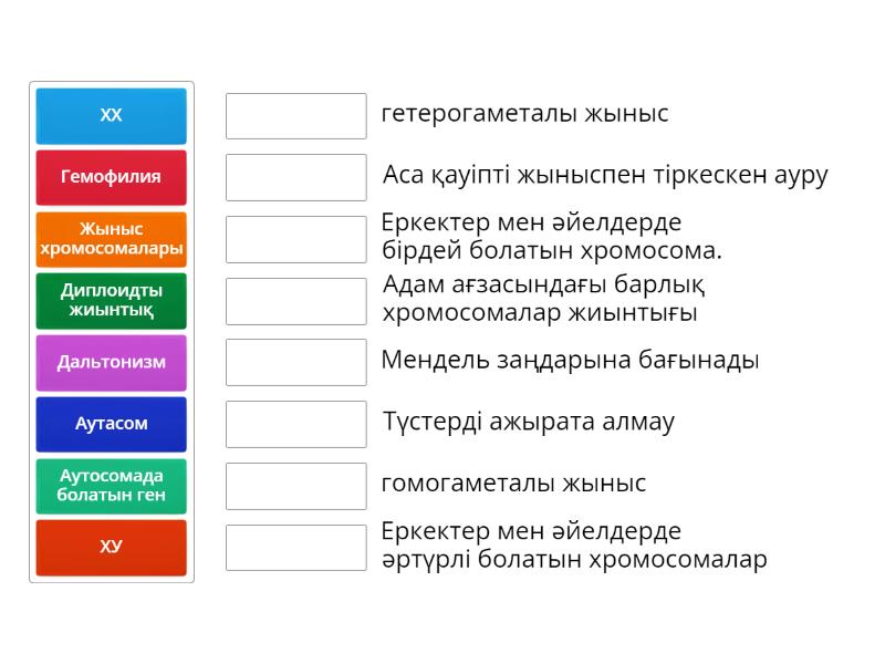 Секс Вудман әйелдердің ішіне кіреді