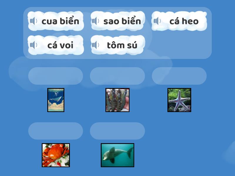 https://wordwall.net/vi/resource/88584172/kh%c3%b4ng-c%c3%b3-%c4%91%e1 ...