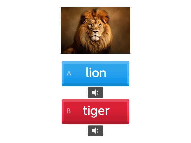 Wild animals quiz