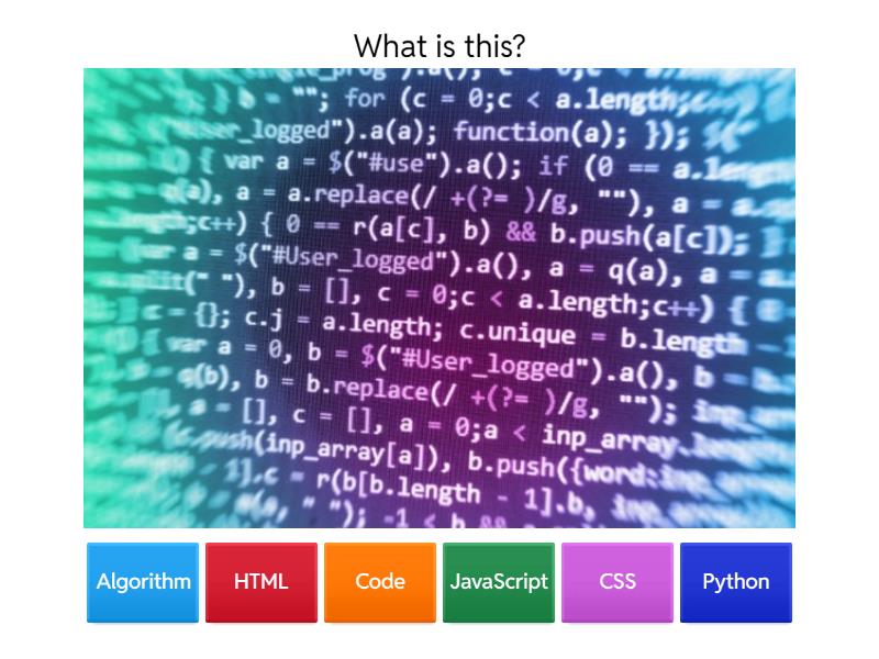 Program Vocabulary - Quiz