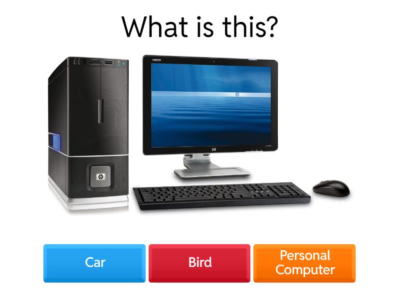 Grade 1 on Computer Basics - Quiz