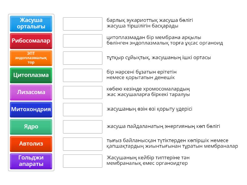 Екі сиқырдың фотосы