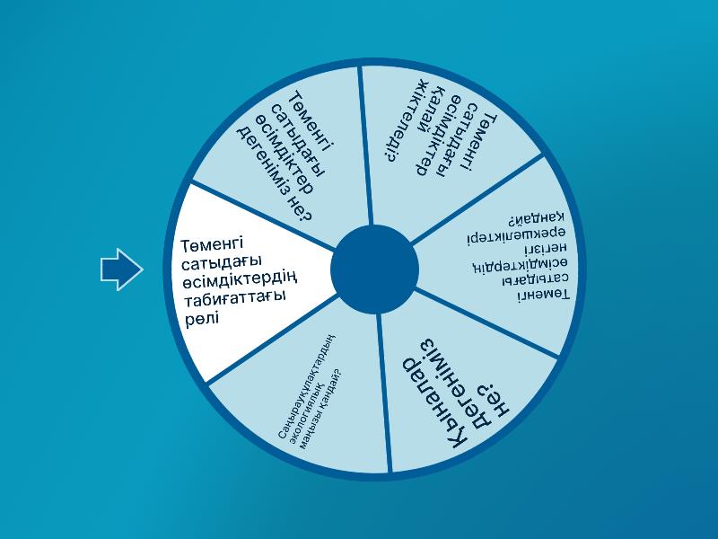 трусики жоқ футболкадағы қыз