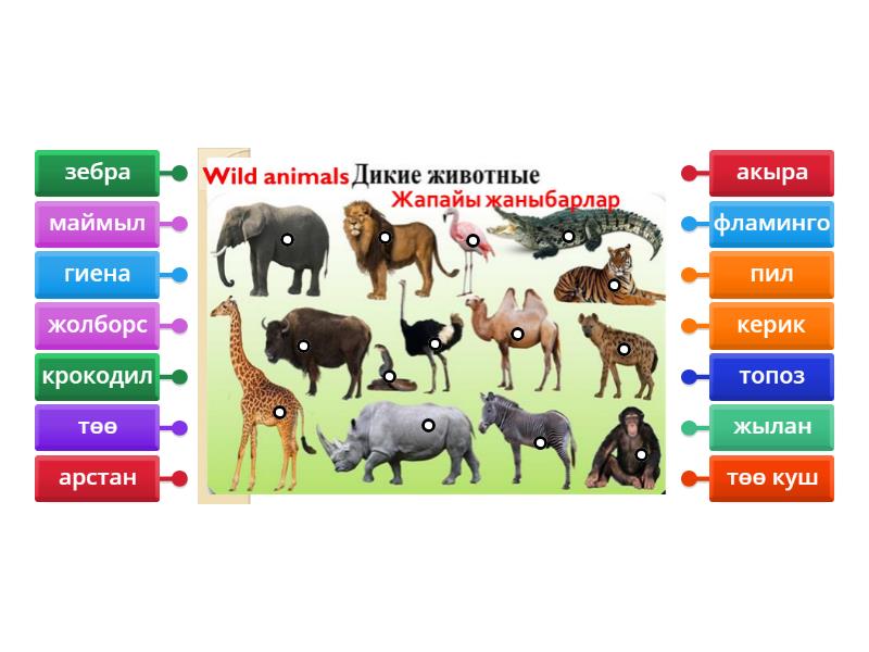 Садомасо элементтері бар хардкор порно