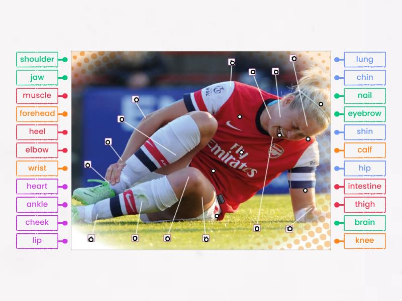 Solutions Intermediate 3A - Labelled diagram