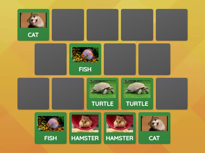 Pets memory game matching pairs