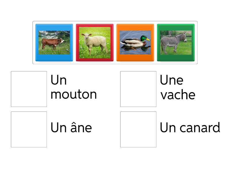 Les animaux de la ferme - Match up