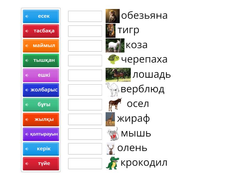 Үлкен еркек аталық бездерінің фотосуреттері