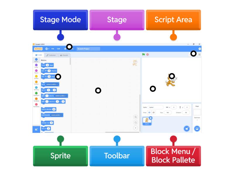 Components of Scratch - Labelled diagram