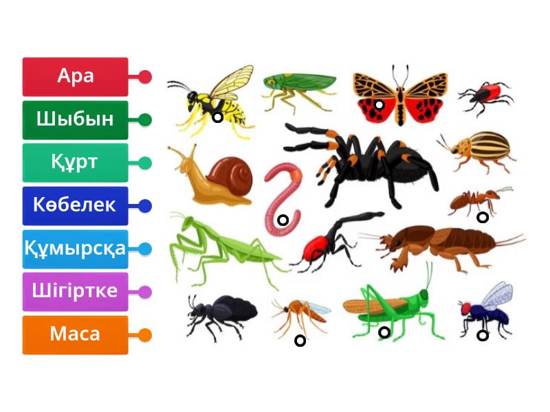 Жақсы ұзын аяқтар және үлкен сиськи
