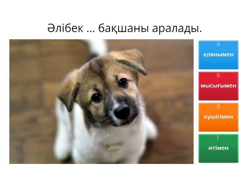 Порно семіз адамдардың фотолары