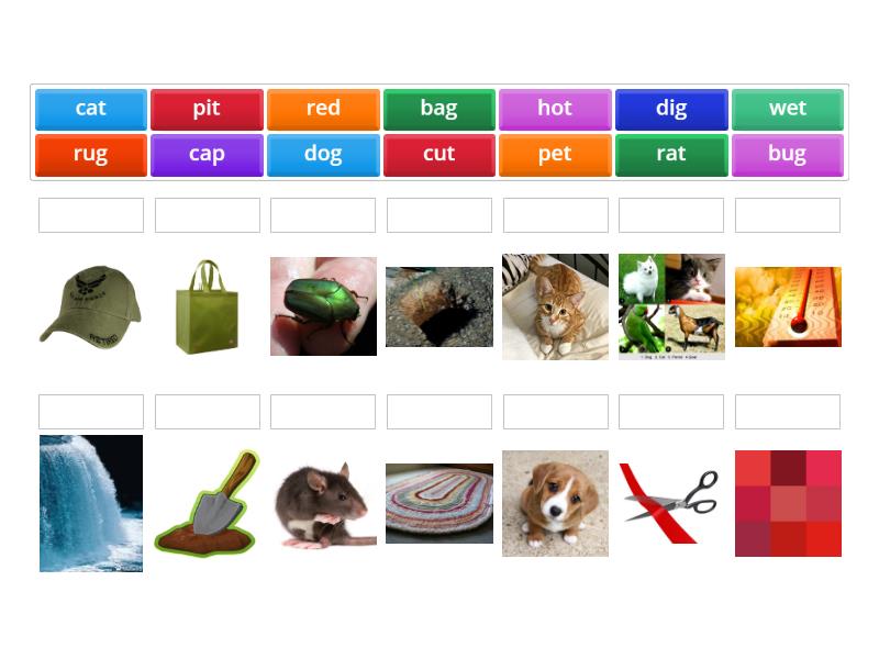 Short vowels match up