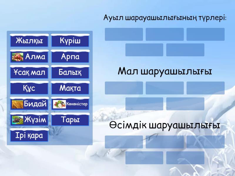 Менің алғашқы ұрығым