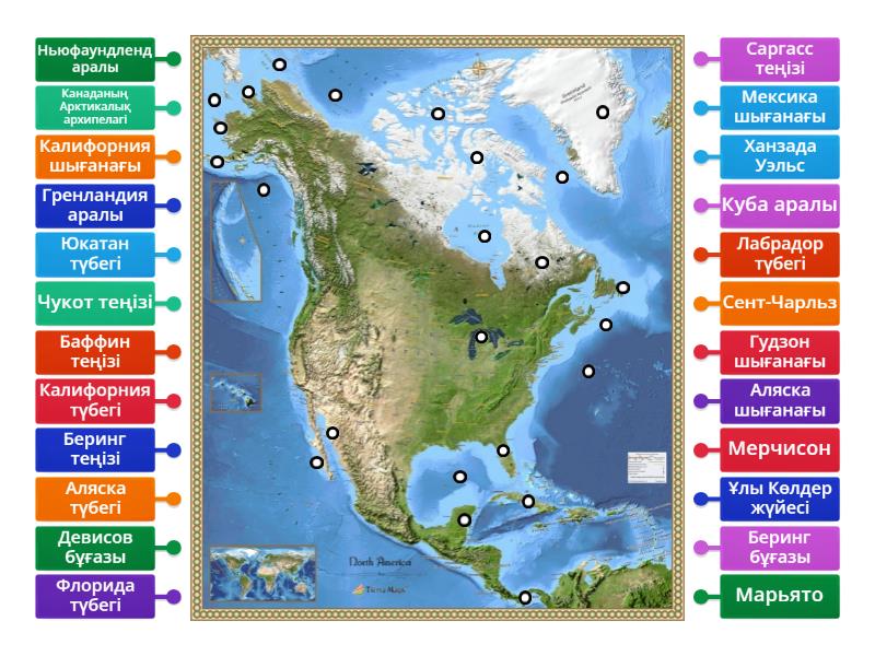 Әйелдердің есектері