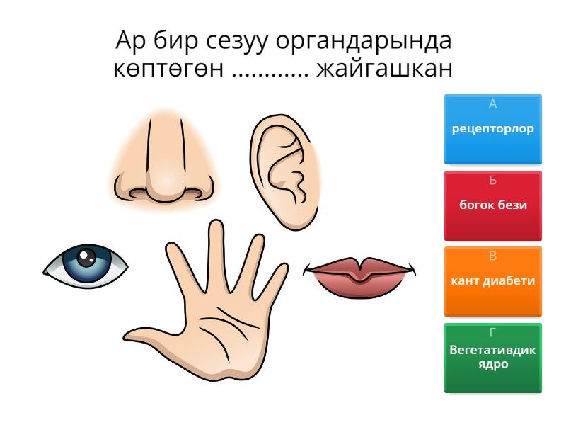 Жас қыздардың секс порносы