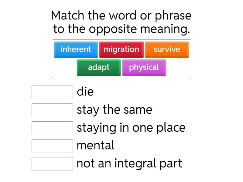 Lesson 3A - Match up