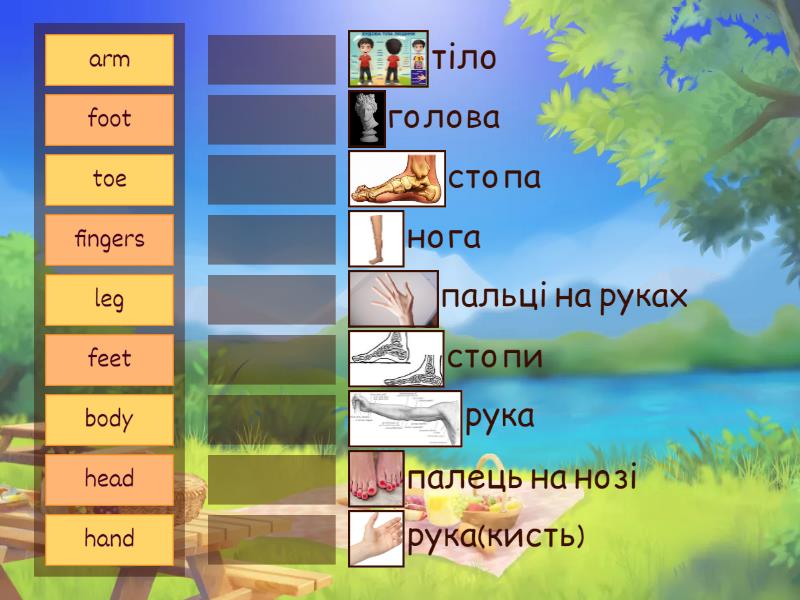 Частини тіла - Match up