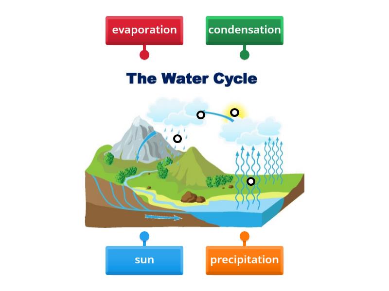 Water cycle - labels - Labelled diagram