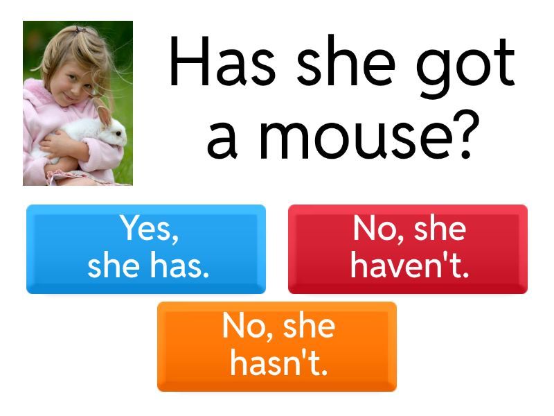 has got / Have got Kvíz